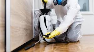 Emergency Pest Control in Kingsland, TX